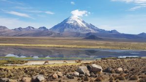 SAJAMA