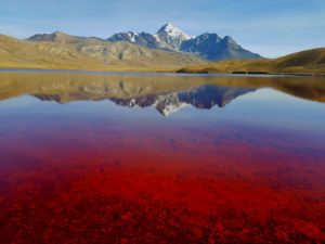 Laguna Colorada - Milluni